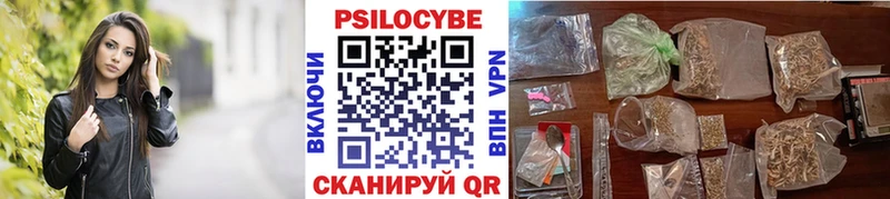 ОМГ ОМГ ссылки  Черняховск  Псилоцибиновые грибы мицелий  дарнет шоп 