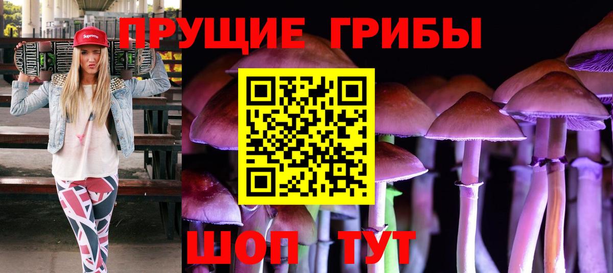 Псилоцибиновые грибы Psilocybe  купить  сайты  Черняховск  Вход с VPN  Псилоцибиновые грибы мицелий 